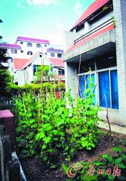 娱乐圈爆料售卖豪宅,明星豪宅热销，揭秘豪宅背后的故事  第1张